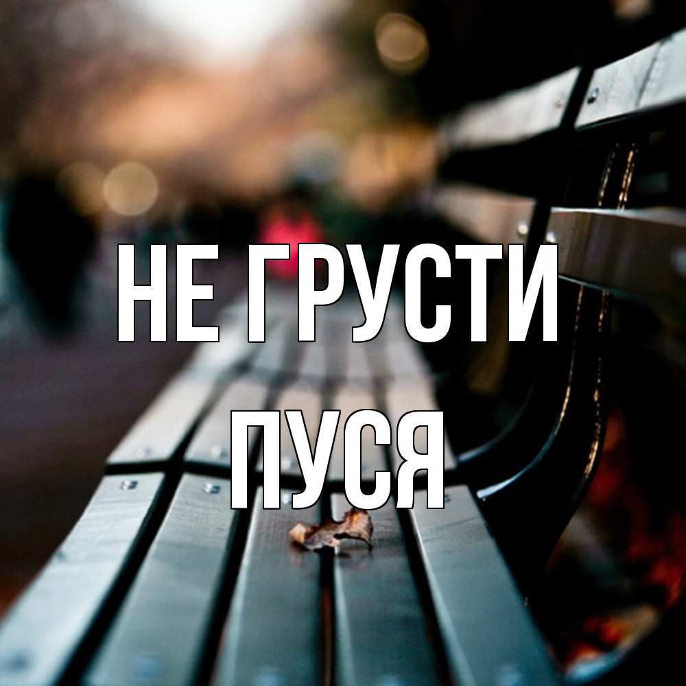 Открытка на каждый день с именем, Пуся Не грусти размытый фон Прикольная открытка с пожеланием онлайн скачать бесплатно 