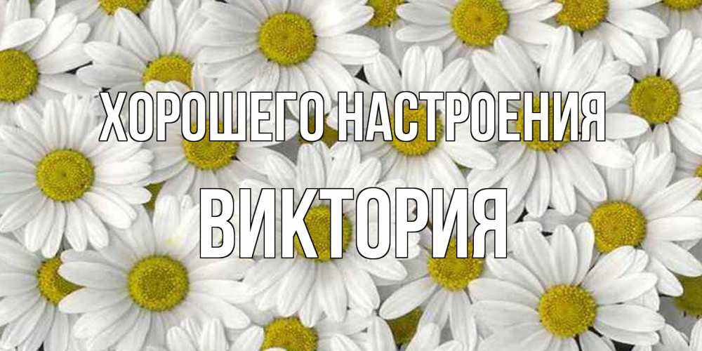 Открытка на каждый день с именем, Виктория Хорошего настроения поляна ромашек Прикольная открытка с пожеланием онлайн скачать бесплатно 