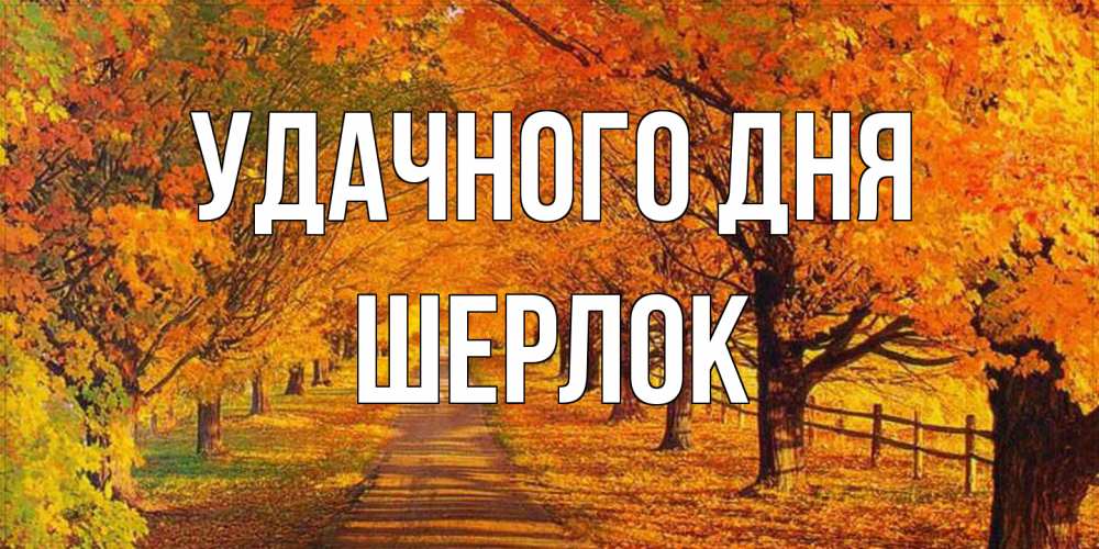 Открытка на каждый день с именем, Шерлок Удачного дня деревья с осенними листьями Прикольная открытка с пожеланием онлайн скачать бесплатно 