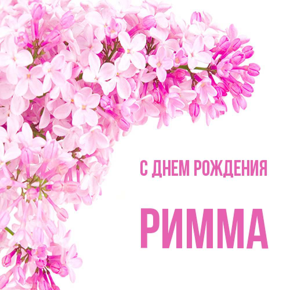 Открытка на каждый день с именем, Римма С днем рождения Сирень на белом фоне Прикольная открытка с пожеланием онлайн скачать бесплатно 