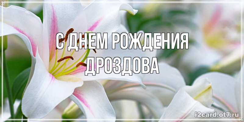 Картинка С днем рождения, Дроздова