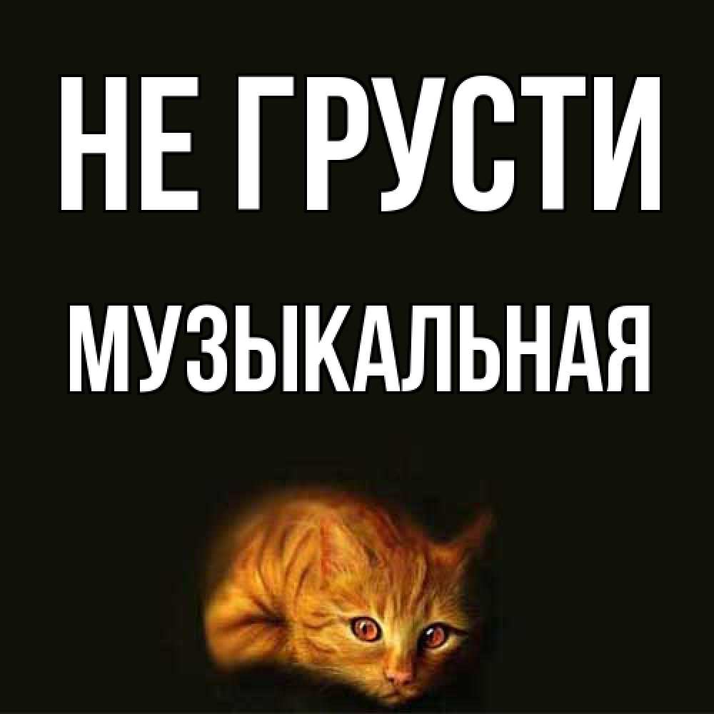 Открытка на каждый день с именем, Музыкальная Не грусти лежащий кот в темноте Прикольная открытка с пожеланием онлайн скачать бесплатно 