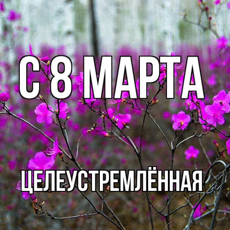 Картинка C 8 МАРТА, Целеустремлённая