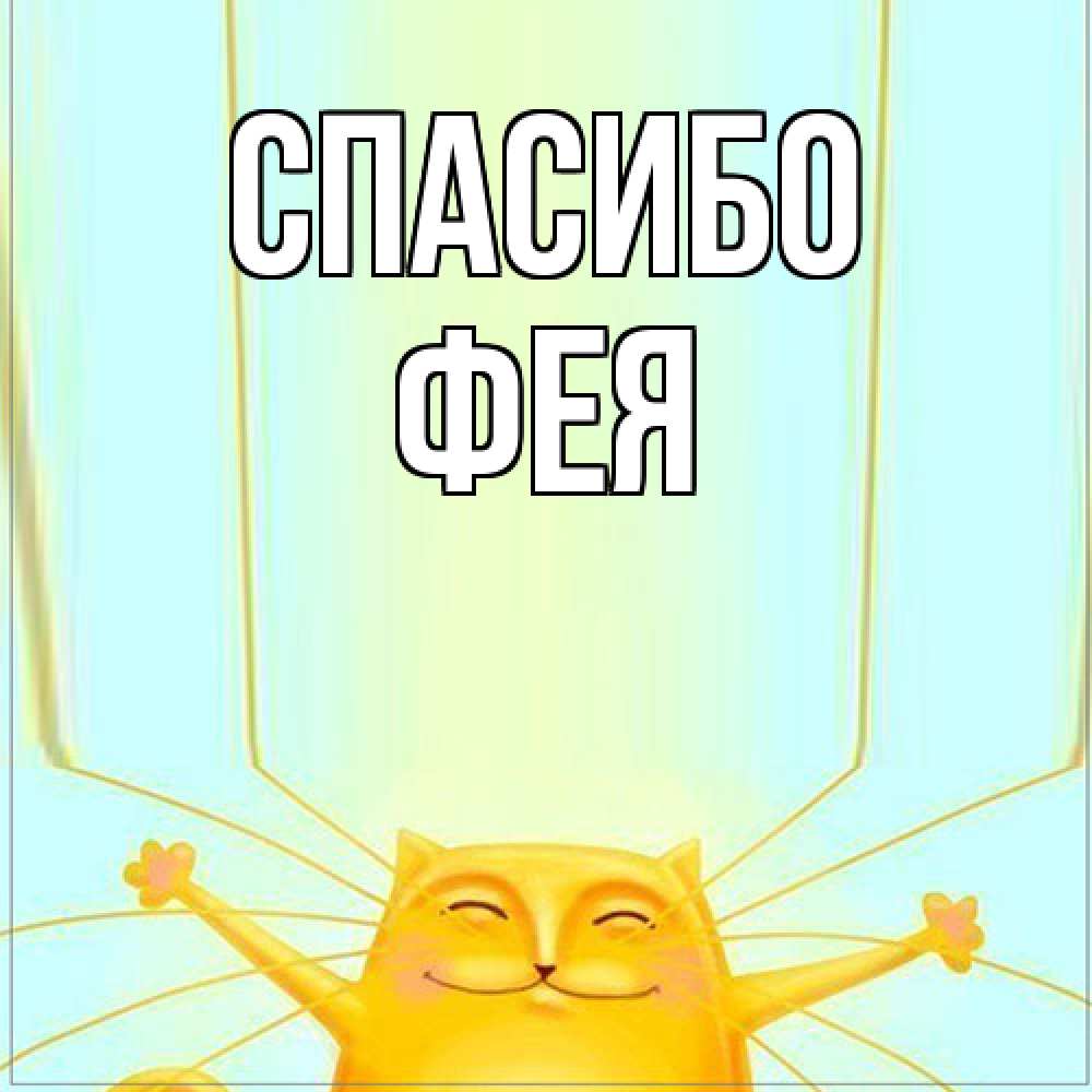 Открытка на каждый день с именем, фея Спасибо кот с усами благодарит Прикольная открытка с пожеланием онлайн скачать бесплатно 