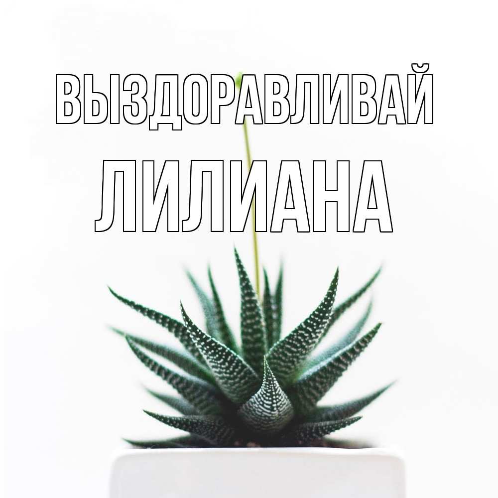 Открытка на каждый день с именем, Лилиана Выздоравливай короче это непонятная колючка Прикольная открытка с пожеланием онлайн скачать бесплатно 