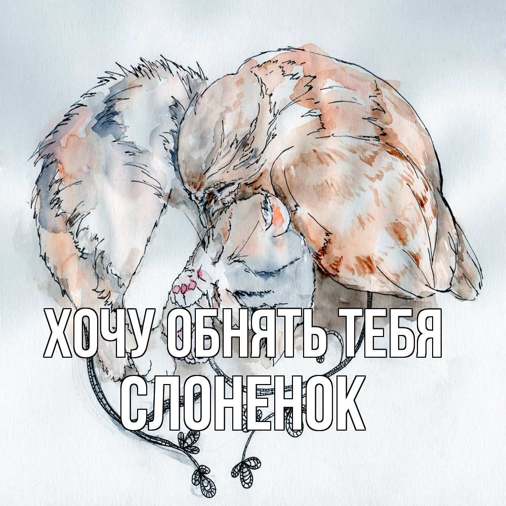 Открытка на каждый день с именем, Слоненок Хочу обнять тебя можно быть вместе даже когда очень разные Прикольная открытка с пожеланием онлайн скачать бесплатно 