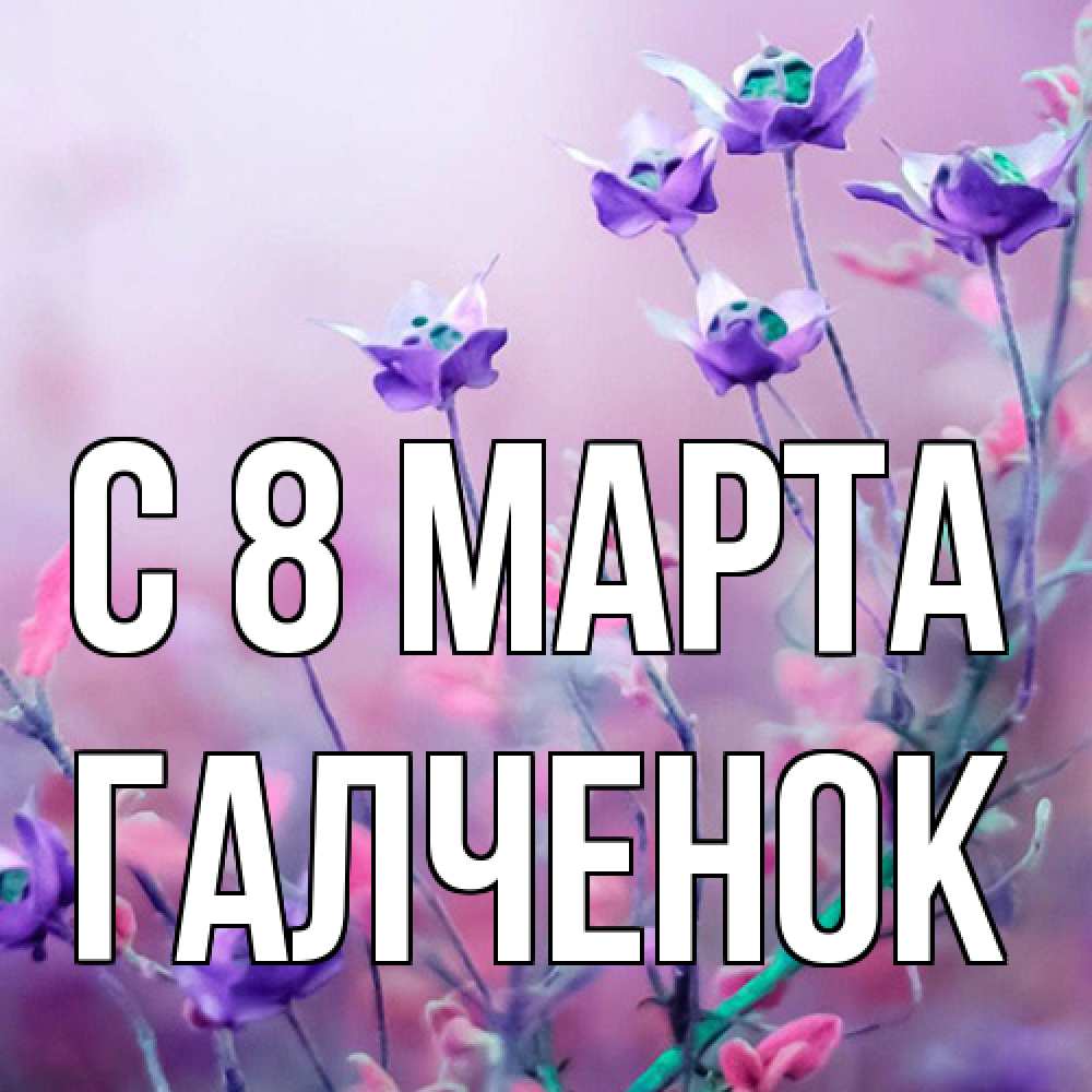 Открытка на каждый день с именем, Галченок C 8 МАРТА международный женский день 2 Прикольная открытка с пожеланием онлайн скачать бесплатно 