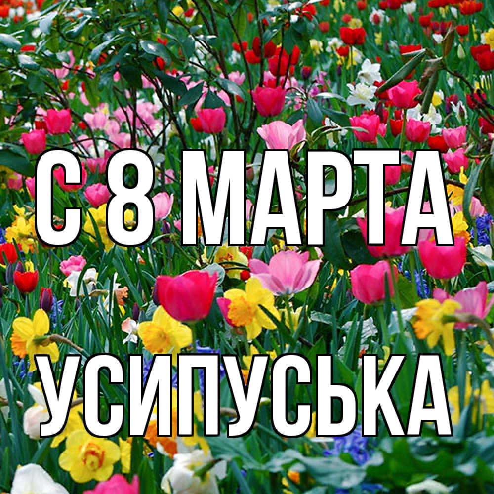 Открытка на каждый день с именем, усипуська C 8 МАРТА с международным женским днем поздравления для женщины Прикольная открытка с пожеланием онлайн скачать бесплатно 