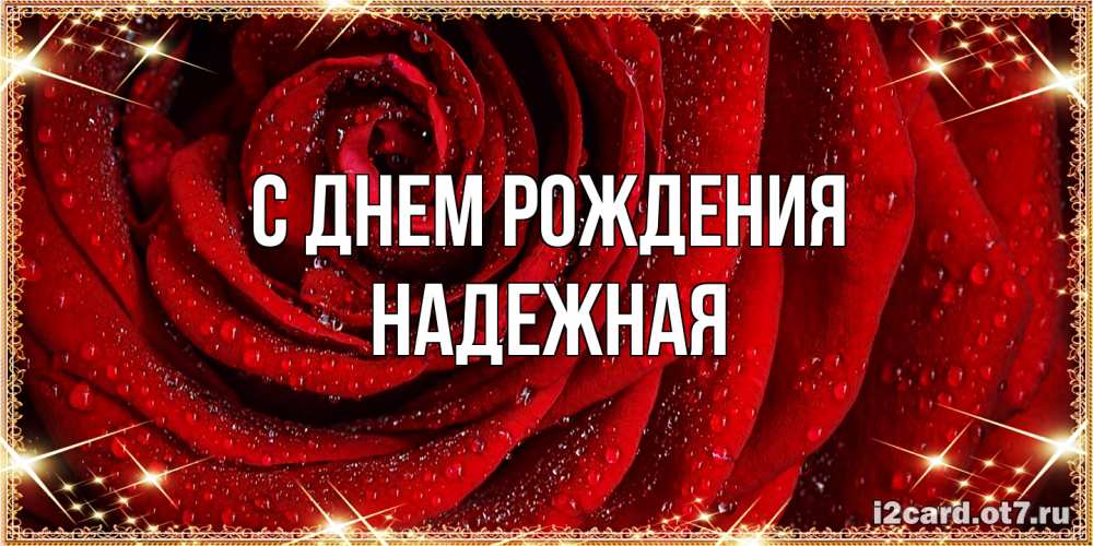 Открытка на каждый день с именем, надежная С днем рождения роса на розе блестящая в лучах солнца Прикольная открытка с пожеланием онлайн скачать бесплатно 