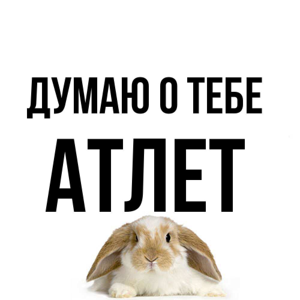 Открытка на каждый день с именем, Атлет Думаю о тебе подписать своими руками онлайн Прикольная открытка с пожеланием онлайн скачать бесплатно 