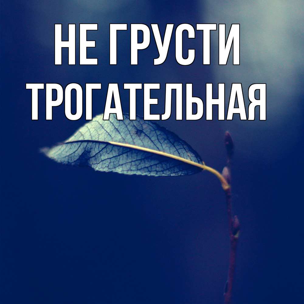 Открытка на каждый день с именем, Трогательная Не грусти растение Прикольная открытка с пожеланием онлайн скачать бесплатно 