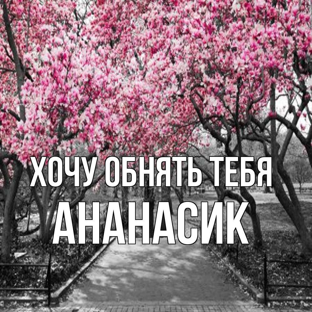 Открытка на каждый день с именем, ананасик Хочу обнять тебя обработанное фото Прикольная открытка с пожеланием онлайн скачать бесплатно 