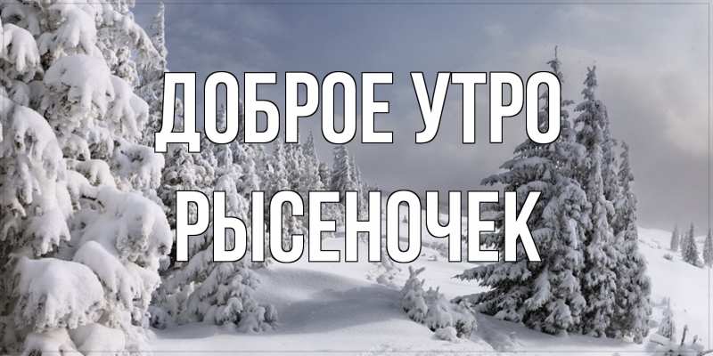 Картинка Доброе утро, Рысеночек