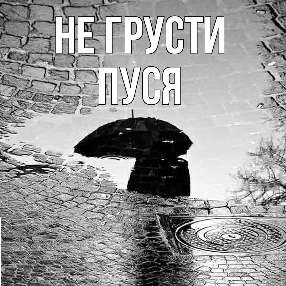 Открытка на каждый день с именем, Пуся Не грусти отражение в луже Прикольная открытка с пожеланием онлайн скачать бесплатно 