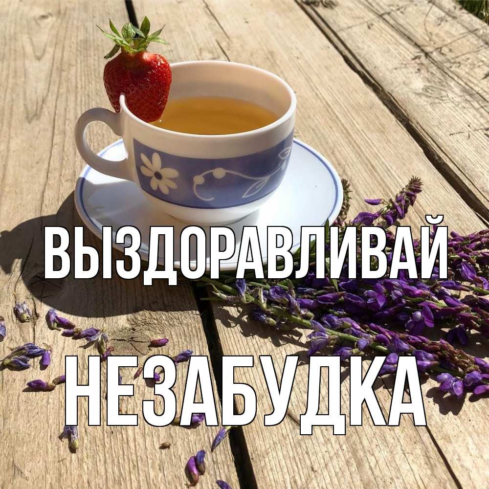 Открытка на каждый день с именем, Незабудка Выздоравливай чай Прикольная открытка с пожеланием онлайн скачать бесплатно 