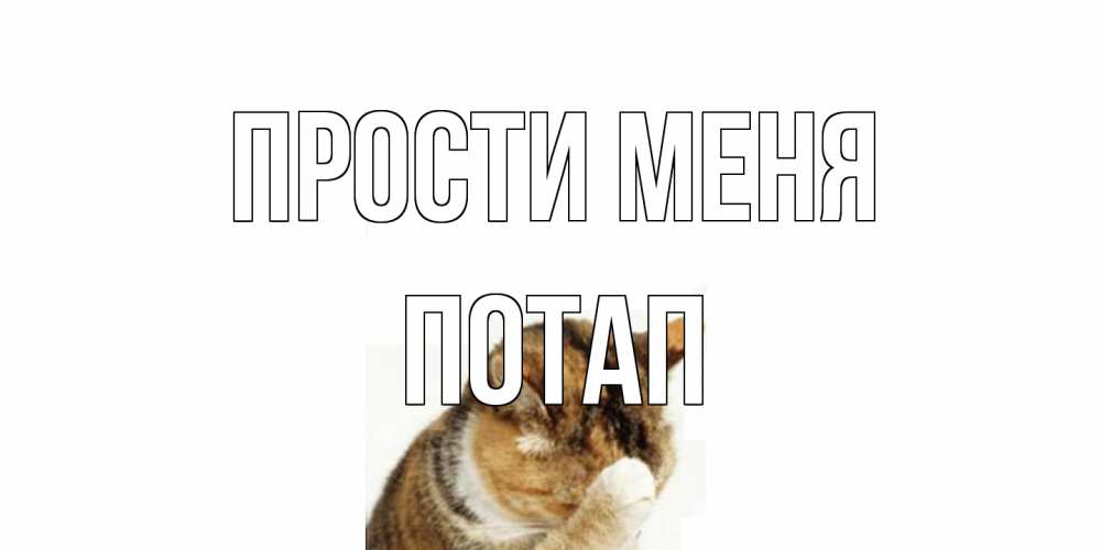 Открытка на каждый день с именем, Потап Прости меня кот Прикольная открытка с пожеланием онлайн скачать бесплатно 