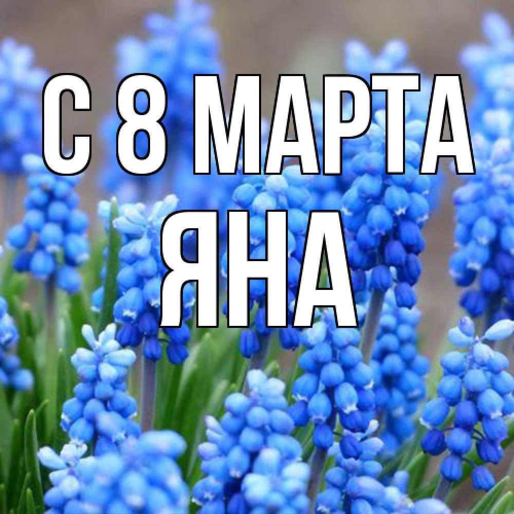 Открытка на каждый день с именем, Яна C 8 МАРТА Поздравительная открытка для женщин с цветами на праздничную дату Прикольная открытка с пожеланием онлайн скачать бесплатно 