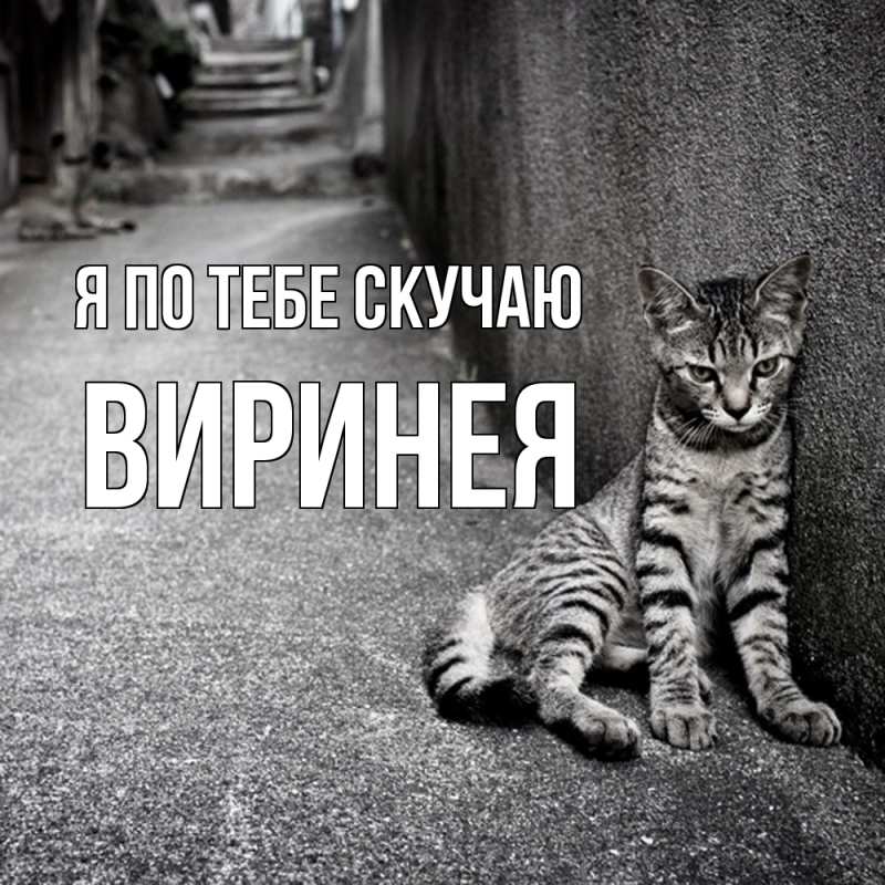 Картинка Я по тебе скучаю, Виринея
