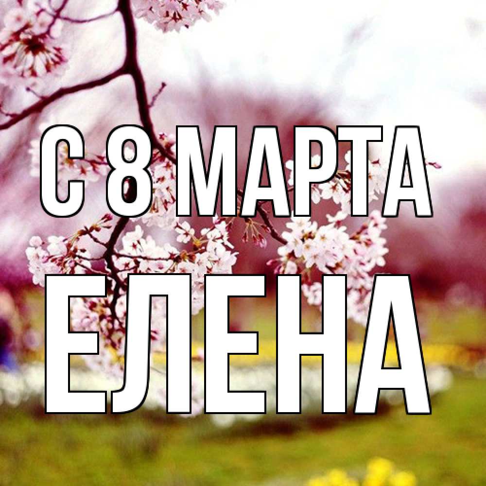 Открытка на каждый день с именем, Елена C 8 МАРТА яблоня Прикольная открытка с пожеланием онлайн скачать бесплатно 