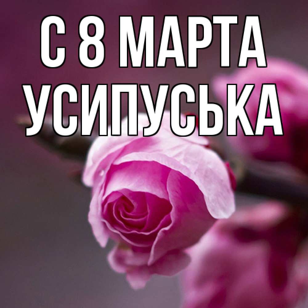 Открытка на каждый день с именем, усипуська C 8 МАРТА весна Прикольная открытка с пожеланием онлайн скачать бесплатно 