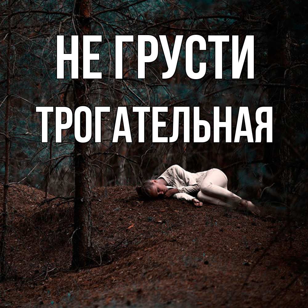 Открытка на каждый день с именем, Трогательная Не грусти лес Прикольная открытка с пожеланием онлайн скачать бесплатно 