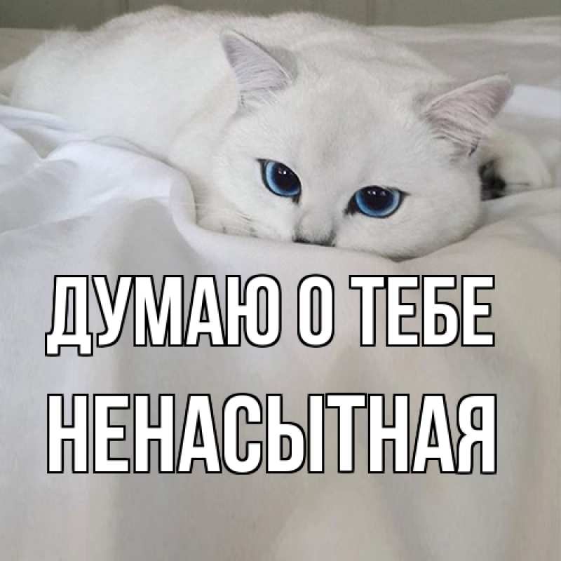 Открытка с именем, Hенасытная, Думаю о тебе