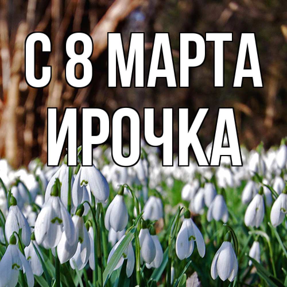 Открытка на каждый день с именем, Ирочка C 8 МАРТА с подснежниками 1 Прикольная открытка с пожеланием онлайн скачать бесплатно 
