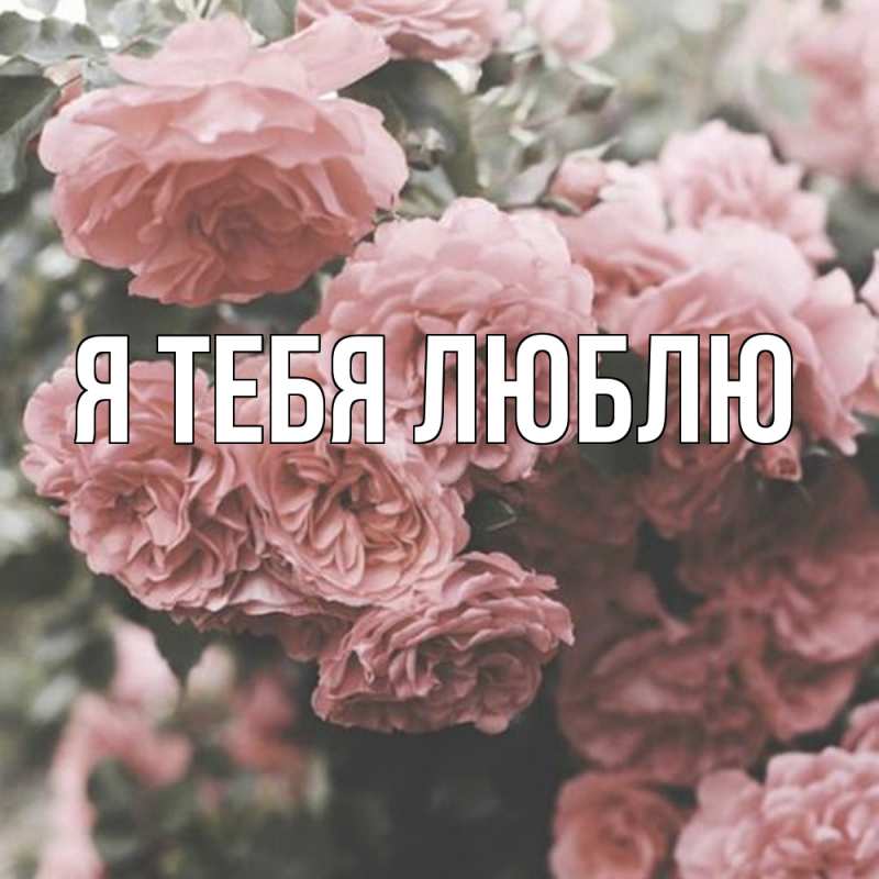 Картинка Я тебя люблю, 