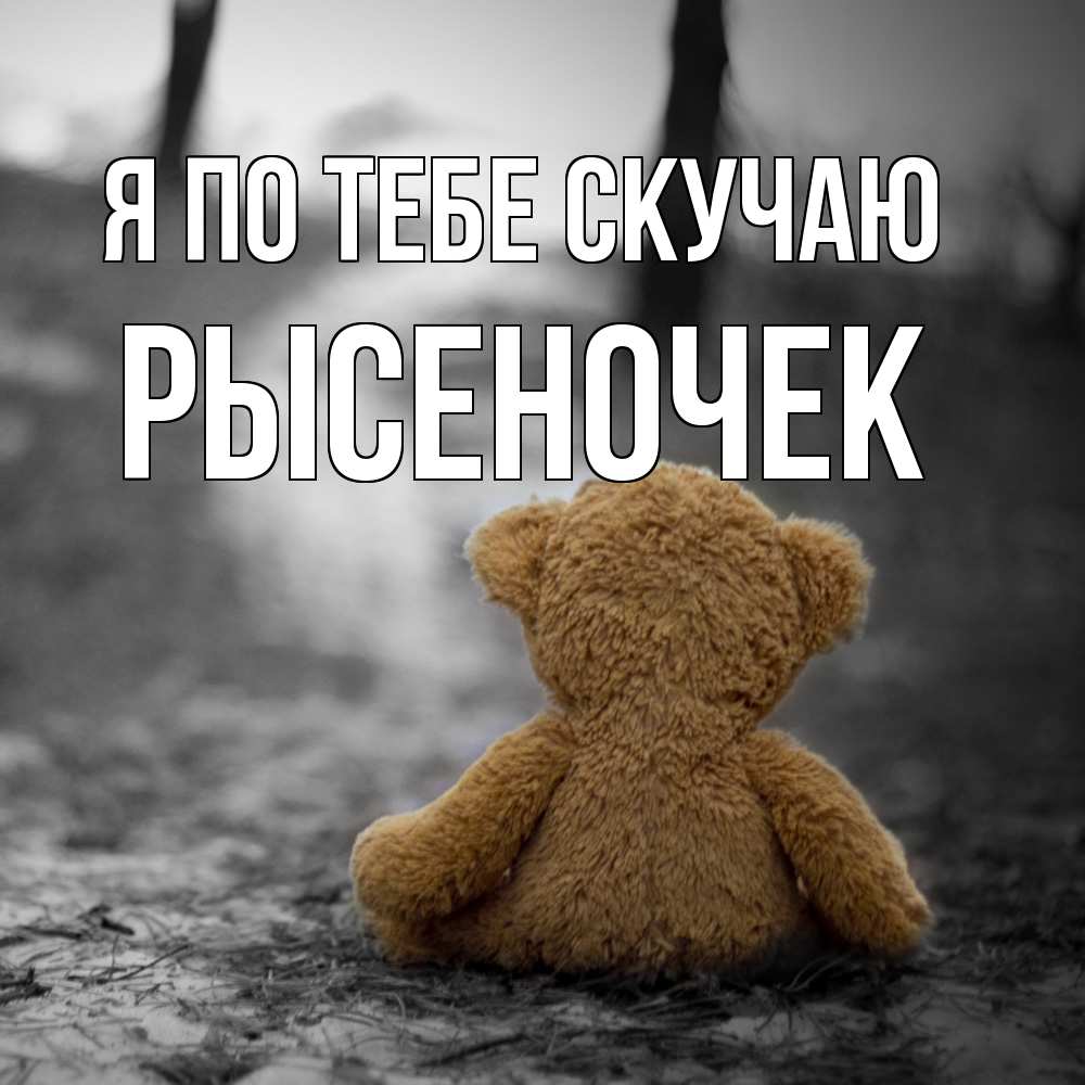 Открытка на каждый день с именем, Рысеночек Я по тебе скучаю красивые открытки Прикольная открытка с пожеланием онлайн скачать бесплатно 