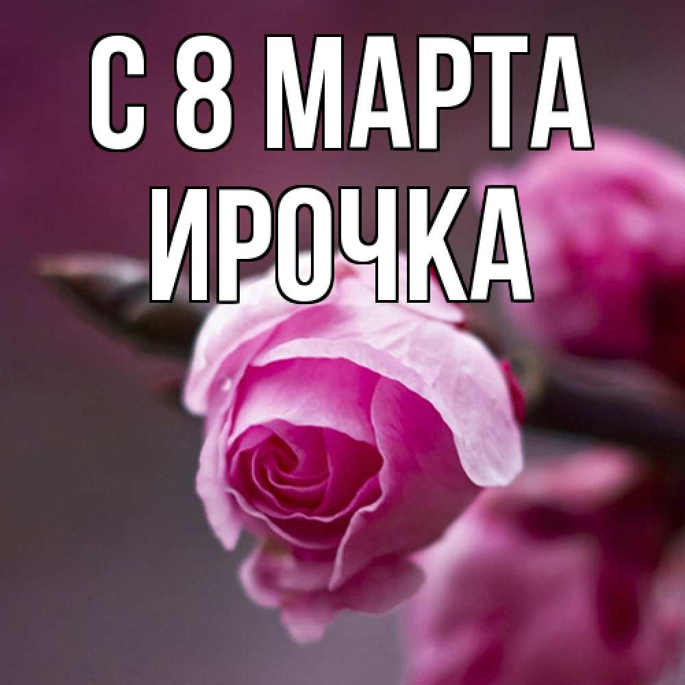 Открытка на каждый день с именем, Ирочка C 8 МАРТА весна Прикольная открытка с пожеланием онлайн скачать бесплатно 