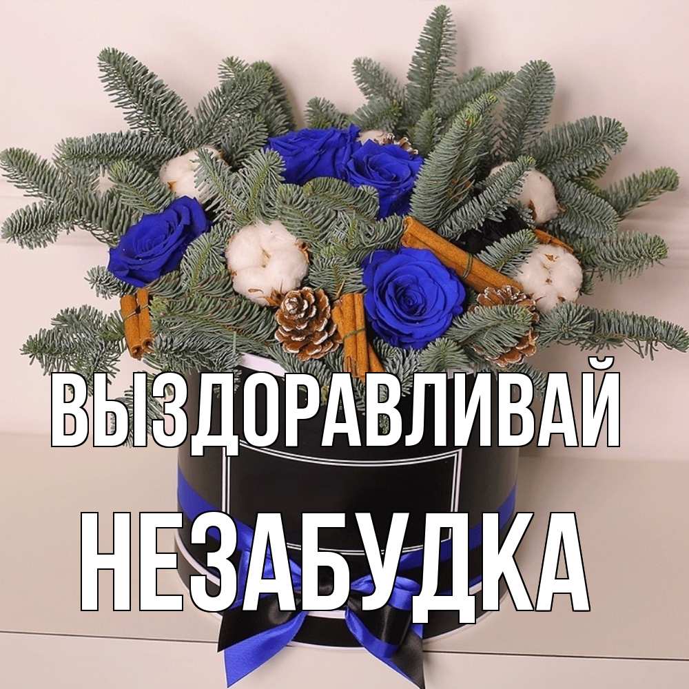 Открытка на каждый день с именем, Незабудка Выздоравливай короче кто то загрузил эти шишки Прикольная открытка с пожеланием онлайн скачать бесплатно 