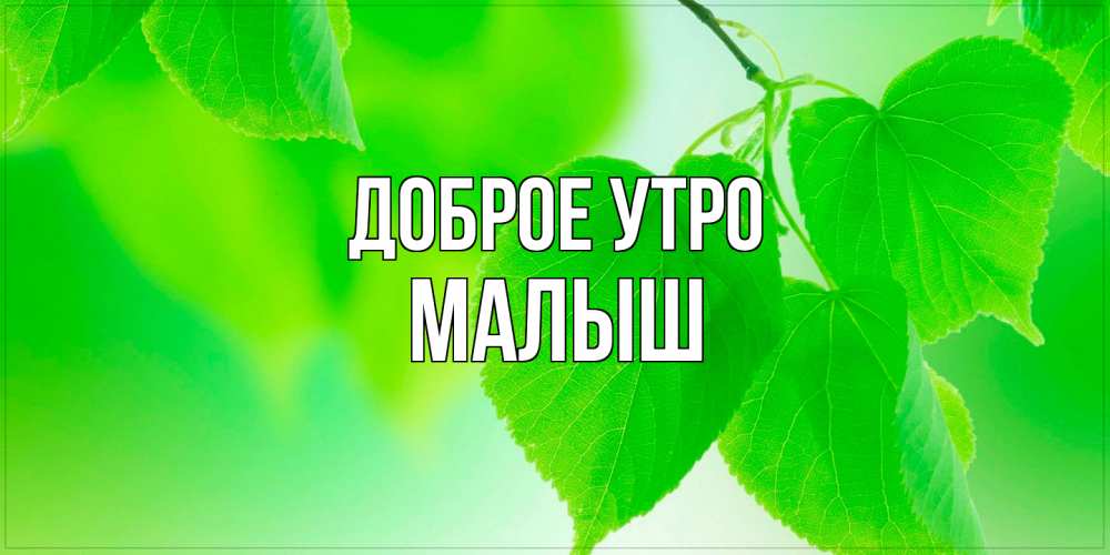 Открытка на каждый день с именем, Малыш Доброе утро доброе утро с березовыми листьями Прикольная открытка с пожеланием онлайн скачать бесплатно 