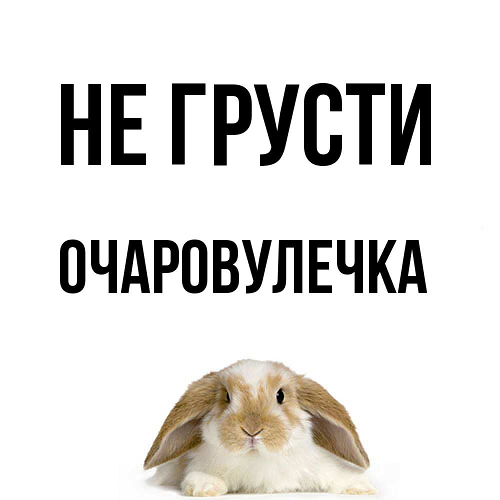 Открытка на каждый день с именем, Очаpовулечка Не грусти коричнево белый заяц с большими ушками Прикольная открытка с пожеланием онлайн скачать бесплатно 