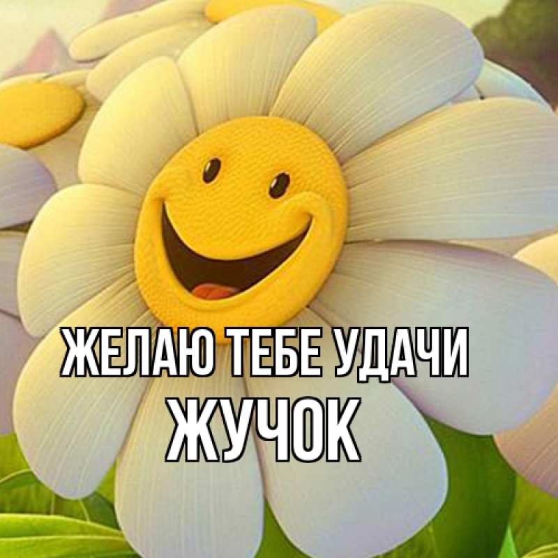 Картинка Желаю тебе удачи, жучок