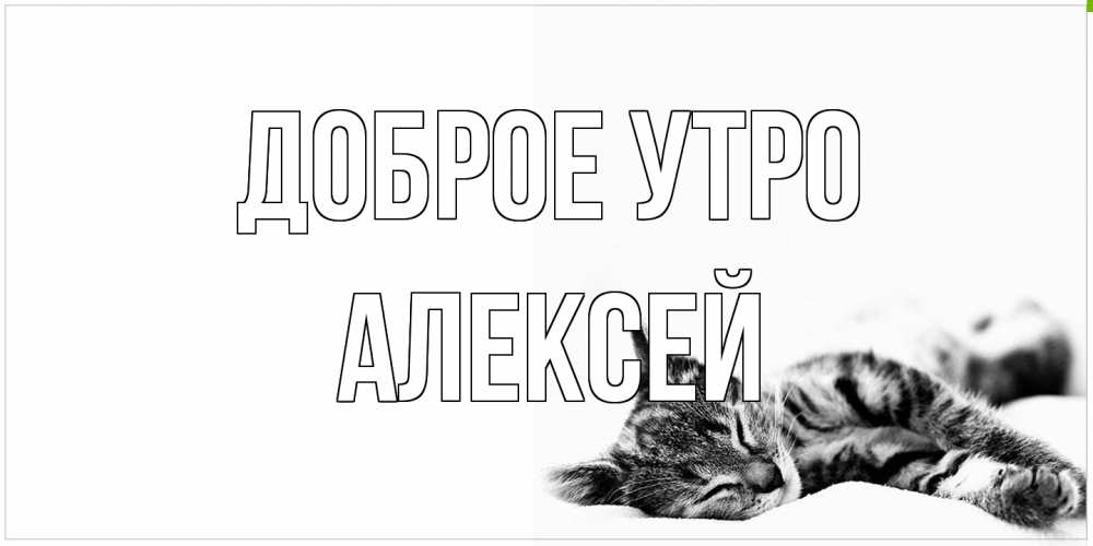 Открытка на каждый день с именем, Алексей Доброе утро котуся Прикольная открытка с пожеланием онлайн скачать бесплатно 