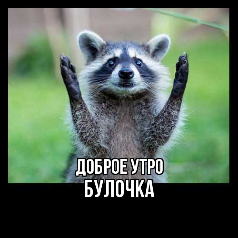 Открытка на каждый день с именем, булочка Доброе утро хорошее настроение утречком Прикольная открытка с пожеланием онлайн скачать бесплатно 