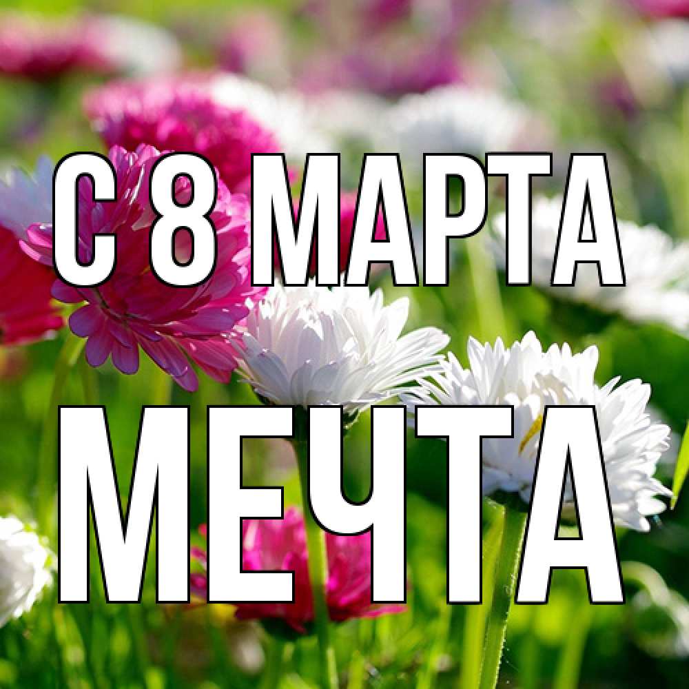 Открытка на каждый день с именем, мечта C 8 МАРТА международный женский день 1 Прикольная открытка с пожеланием онлайн скачать бесплатно 
