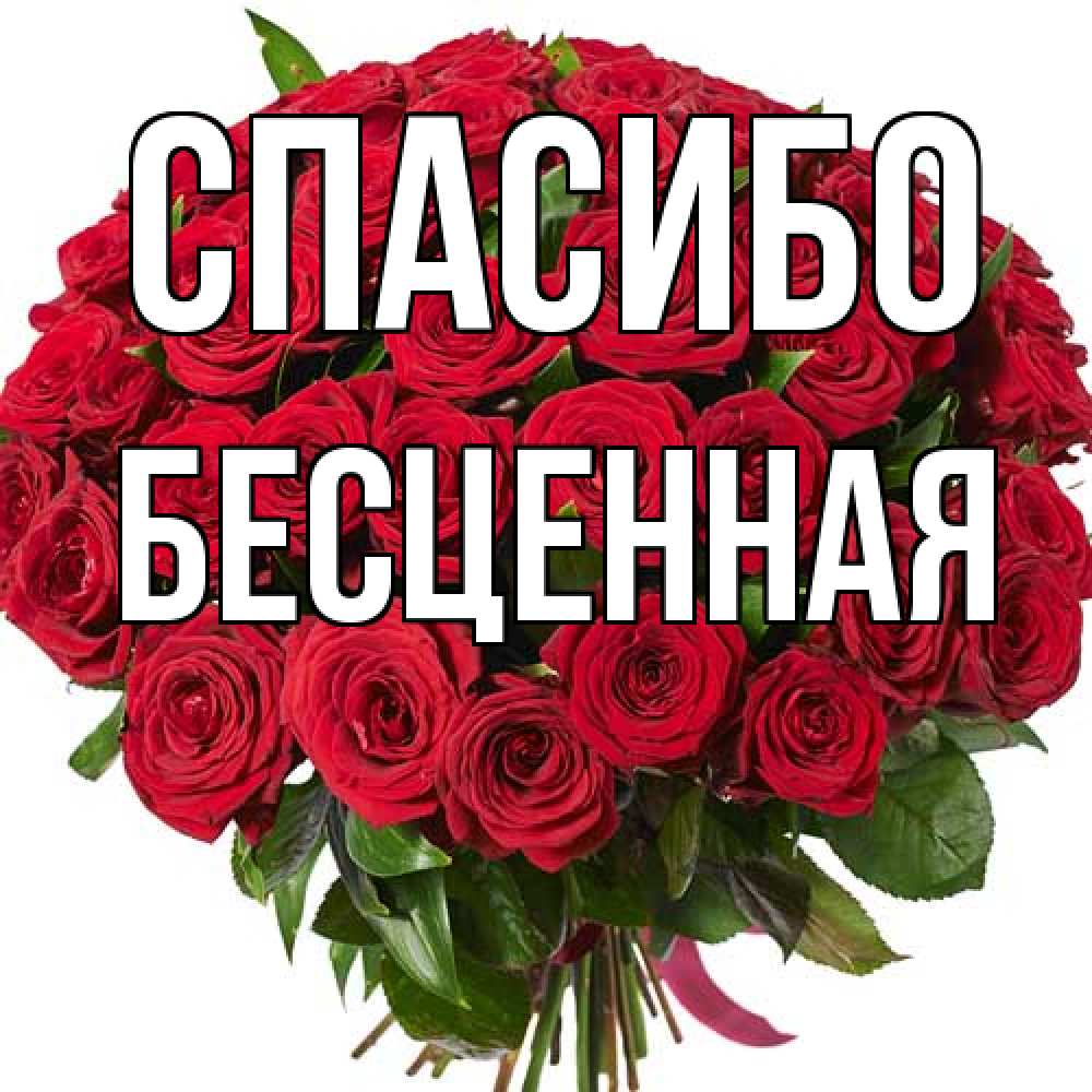Открытка на каждый день с именем, Бесценная Спасибо букет красных роз Прикольная открытка с пожеланием онлайн скачать бесплатно 