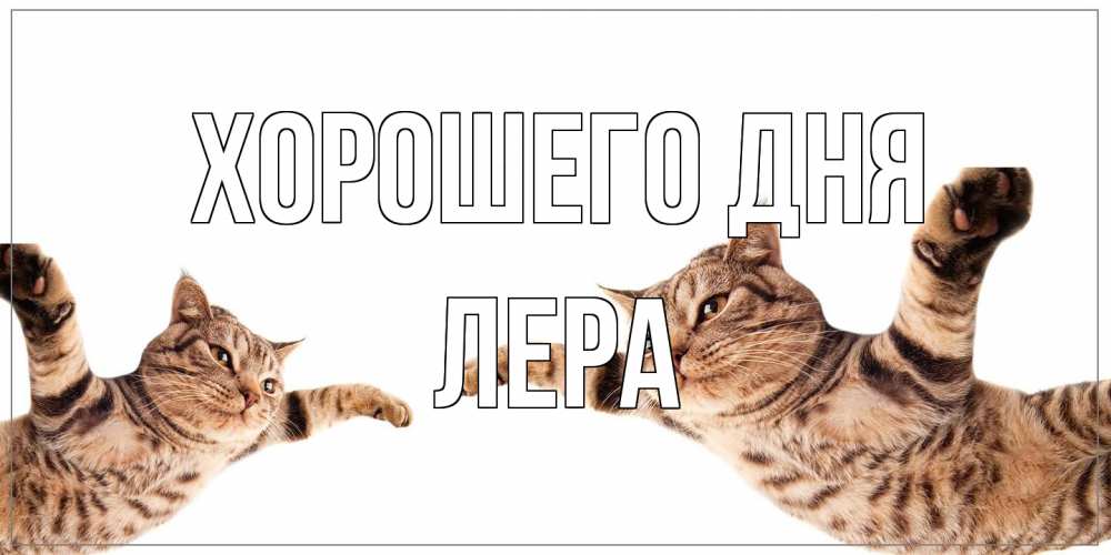 Открытка на каждый день с именем, Лера Хорошего дня хорошего дня Прикольная открытка с пожеланием онлайн скачать бесплатно 