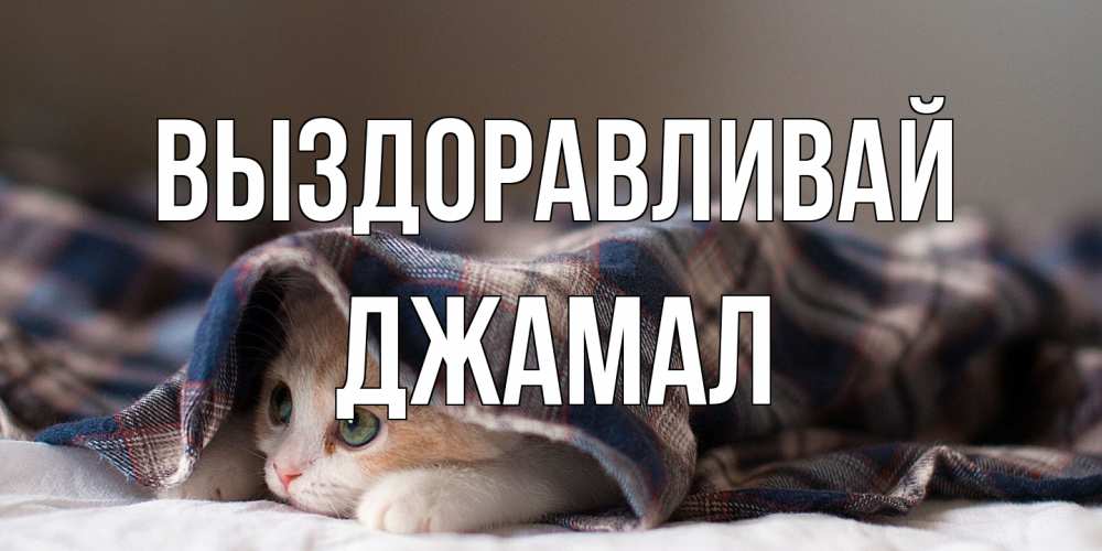 Открытка на каждый день с именем, Джамал Выздоравливай не болейте с котиком Прикольная открытка с пожеланием онлайн скачать бесплатно 