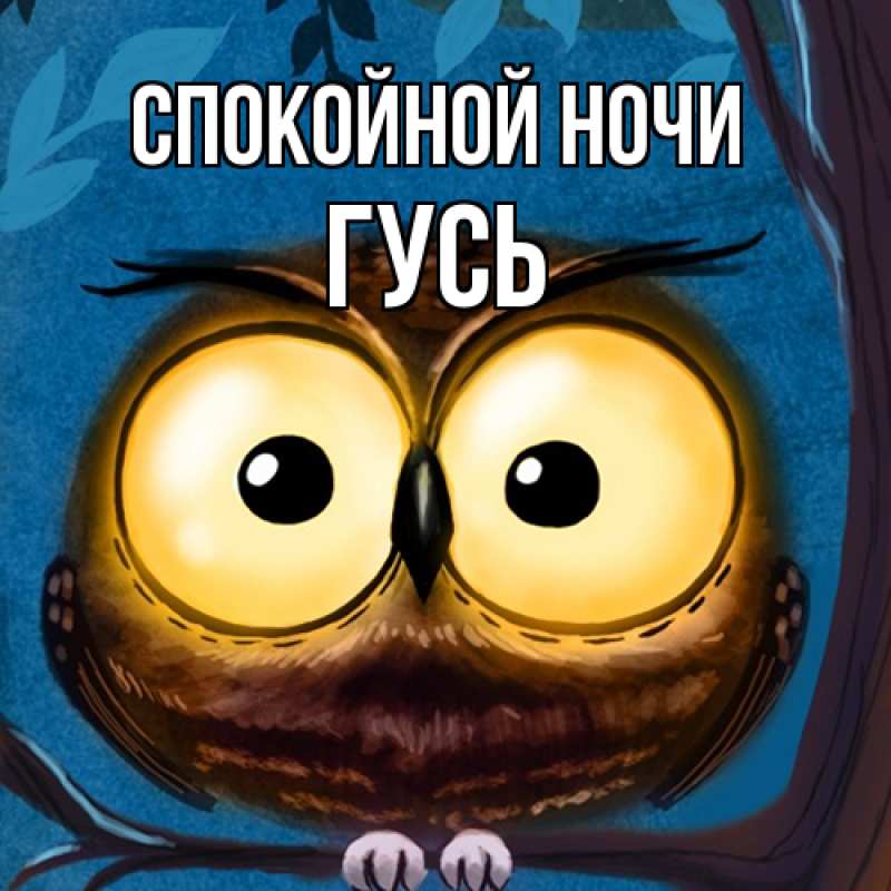 Картинка Спокойной ночи, Гусь