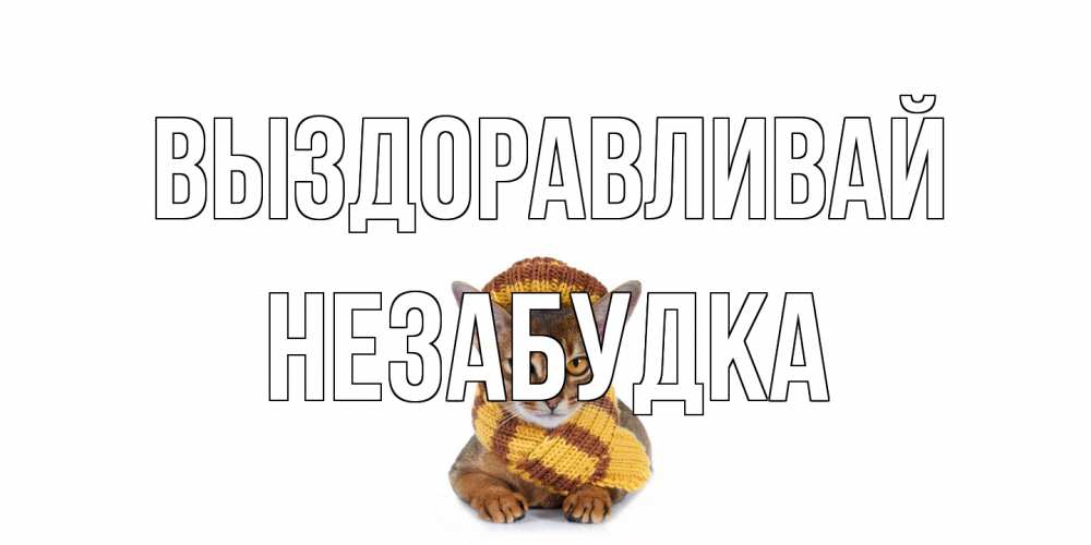 Открытка на каждый день с именем, Незабудка Выздоравливай родные не болейте Прикольная открытка с пожеланием онлайн скачать бесплатно 