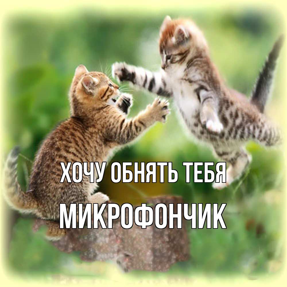 Открытка на каждый день с именем, Микрофончик Хочу обнять тебя игры котят Прикольная открытка с пожеланием онлайн скачать бесплатно 