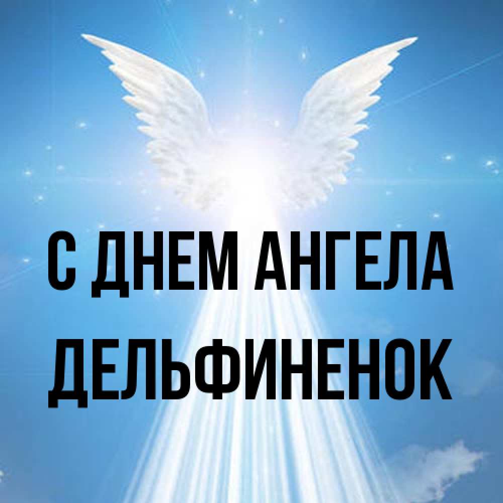 Открытка на каждый день с именем, дельфиненок С днем ангела поток света Прикольная открытка с пожеланием онлайн скачать бесплатно 