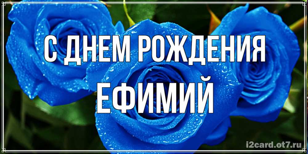 Открытка на каждый день с именем, Ефимий С днем рождения розы с синим цветом Прикольная открытка с пожеланием онлайн скачать бесплатно 
