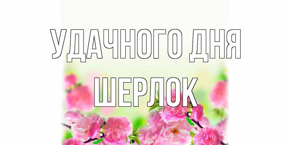 Открытка на каждый день с именем, Шерлок Удачного дня цветы Прикольная открытка с пожеланием онлайн скачать бесплатно 