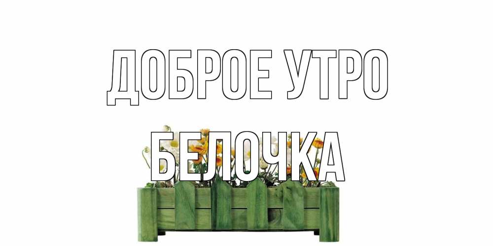 Открытка на каждый день с именем, Белочка Доброе утро цветы Прикольная открытка с пожеланием онлайн скачать бесплатно 