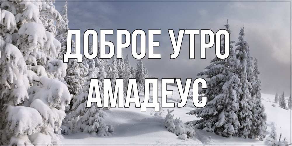 Открытка на каждый день с именем, Амадеус Доброе утро пасмурное утро Прикольная открытка с пожеланием онлайн скачать бесплатно 