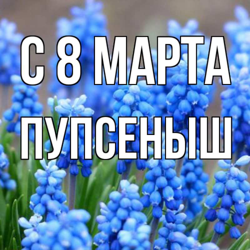 Картинка C 8 МАРТА, пупсеныш