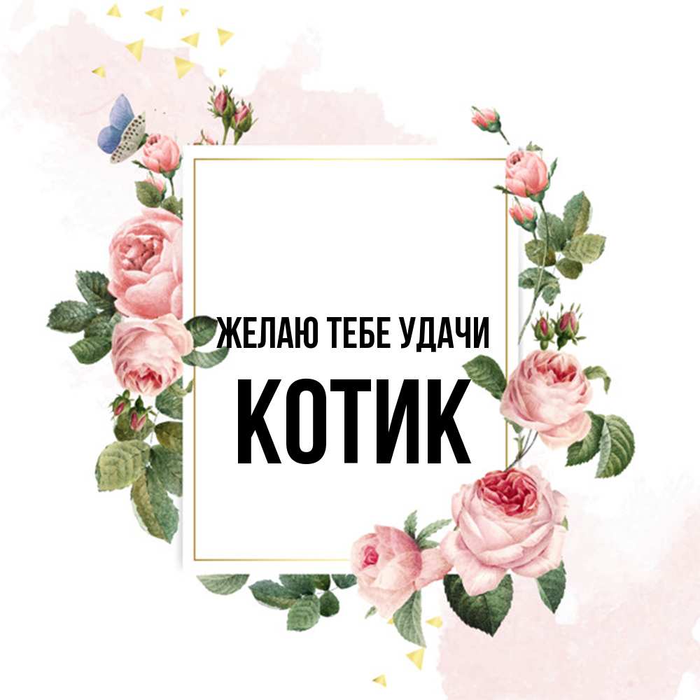 Открытка на каждый день с именем, Котик Желаю тебе удачи розовые розы Прикольная открытка с пожеланием онлайн скачать бесплатно 